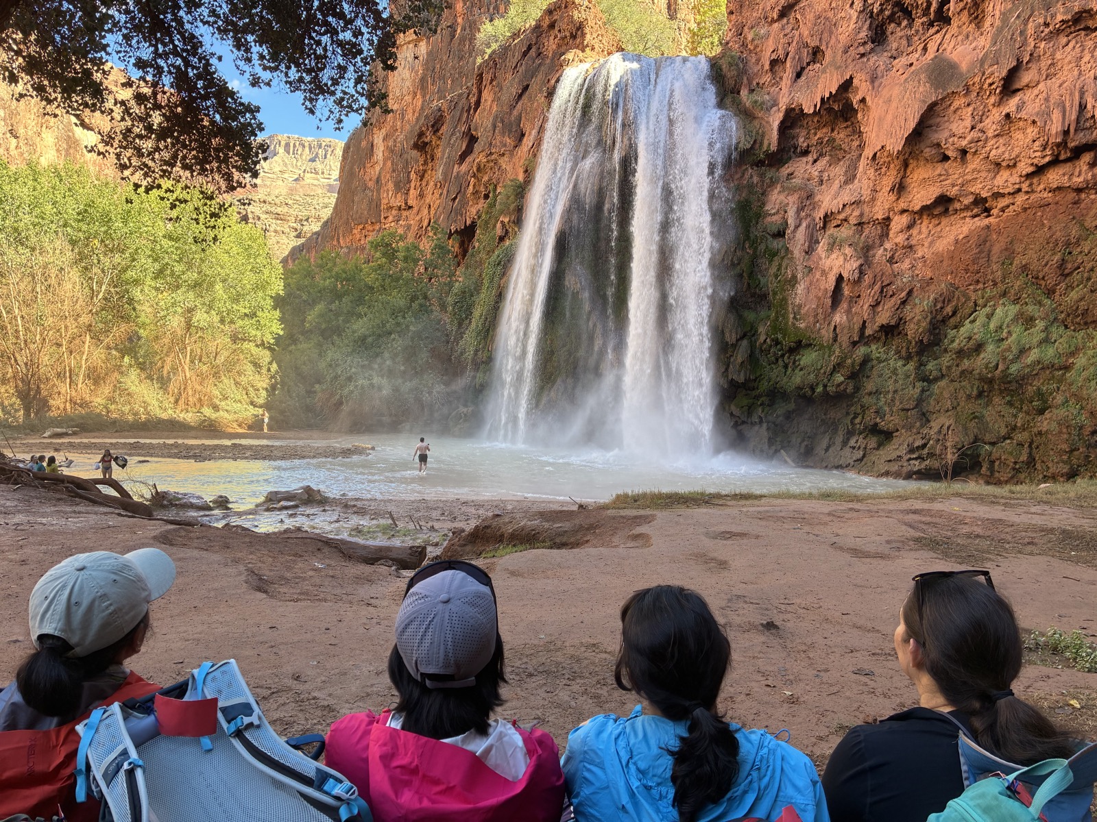 Half of us in a row, staring at Havasu Falls